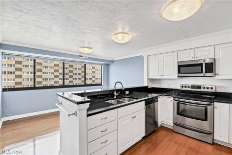 12550 Lake Avenue 12550 Lake Avenue Lakewood OH 44107