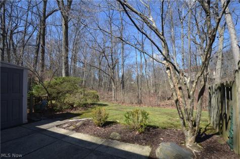 6933 W Fitzwater Road Brecksville OH 44141