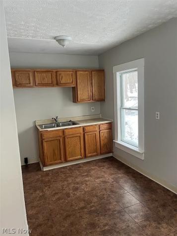 384 W Bartges Street Akron OH 44307