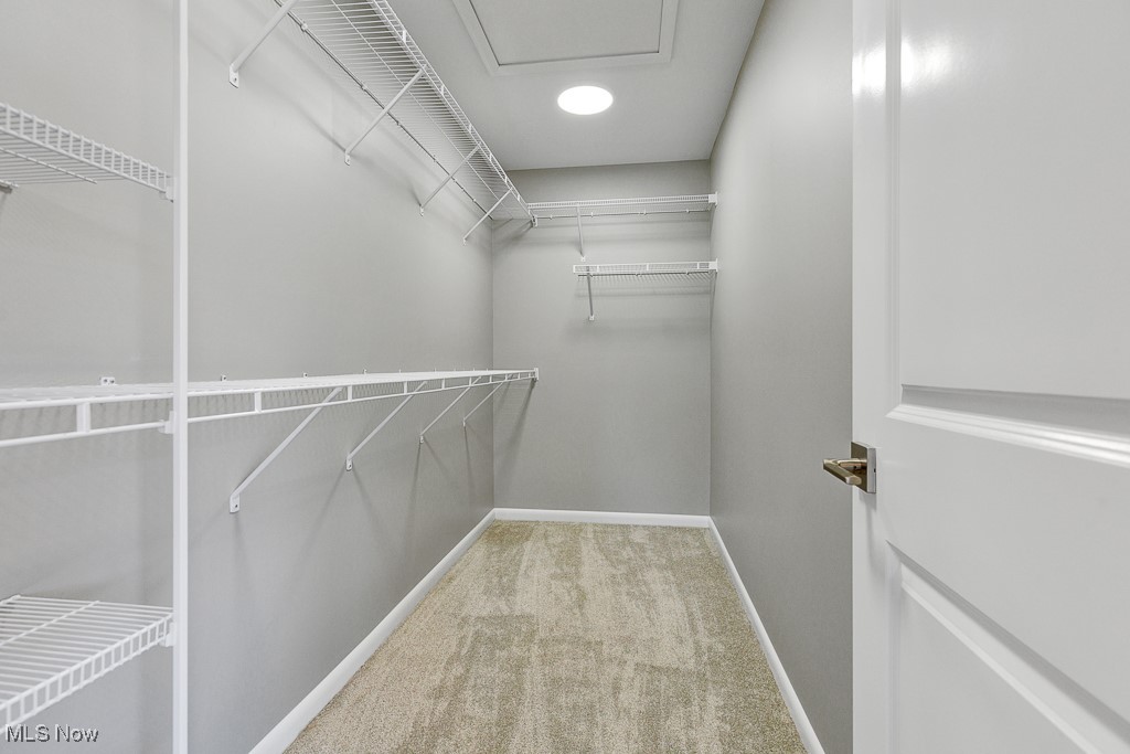 5904 Wakefield Avenue Cleveland OH 44102