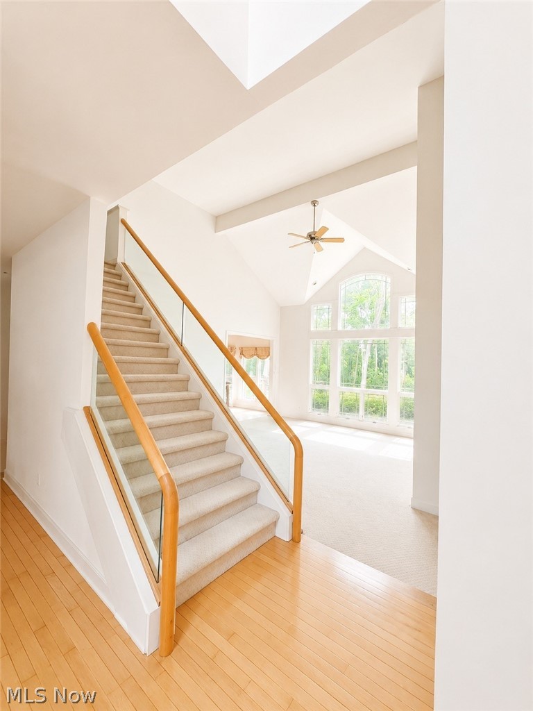 39710 Alsace Court Solon OH 44139