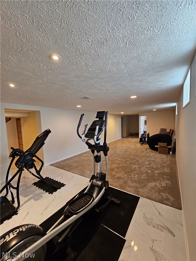 5648 Beacon Hill Drive Seven Hills OH 44131