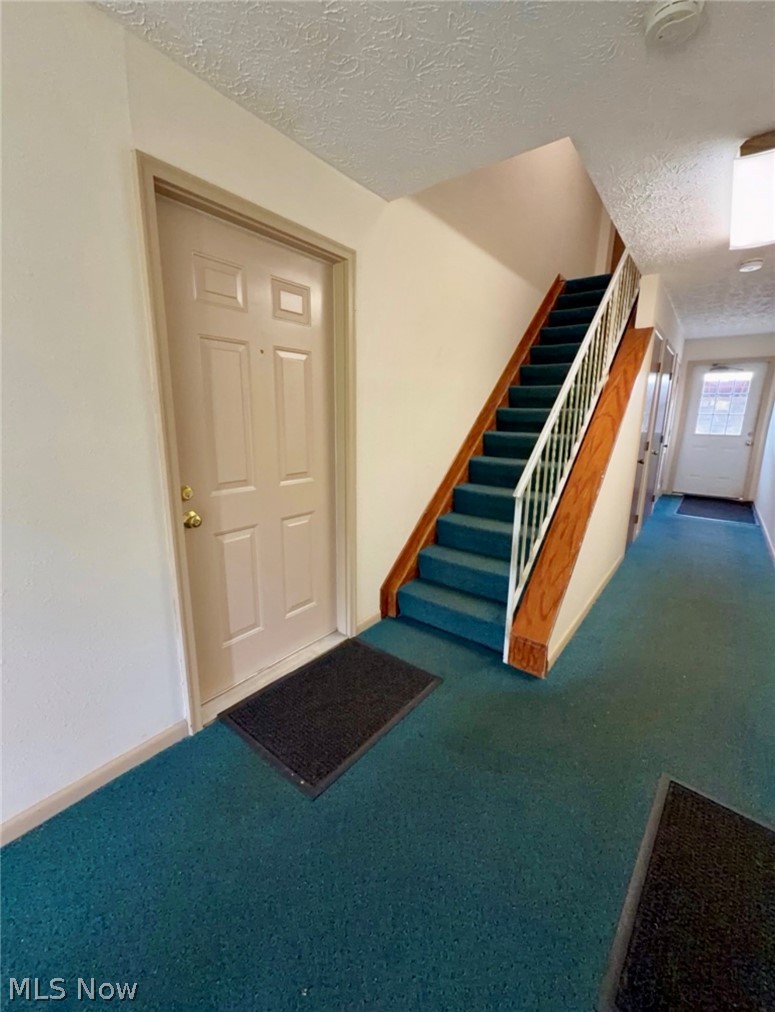 3718 Indian Run Drive Canfield OH 44406