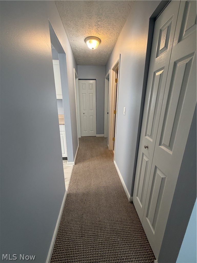 3718 Indian Run Drive Canfield OH 44406