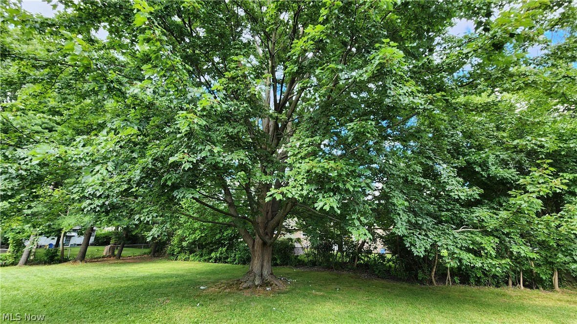 2491 Samira Road Stow OH 44224