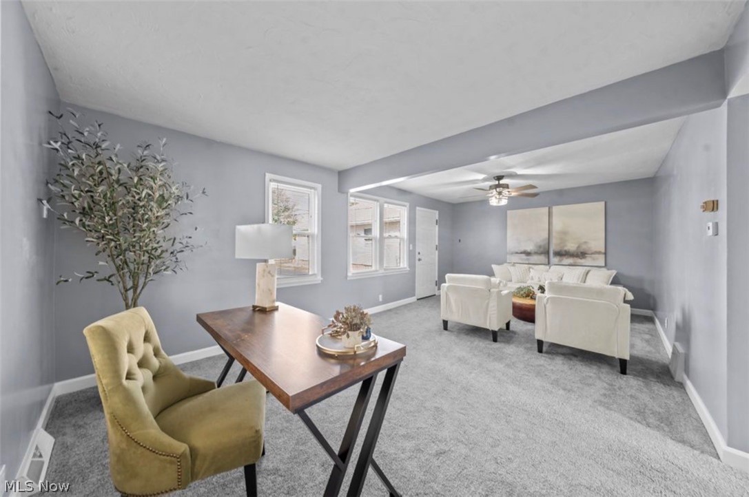 5119 W 5th Street Brooklyn Heights OH 44131