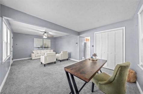 5119 W 5th Street Brooklyn Heights OH 44131