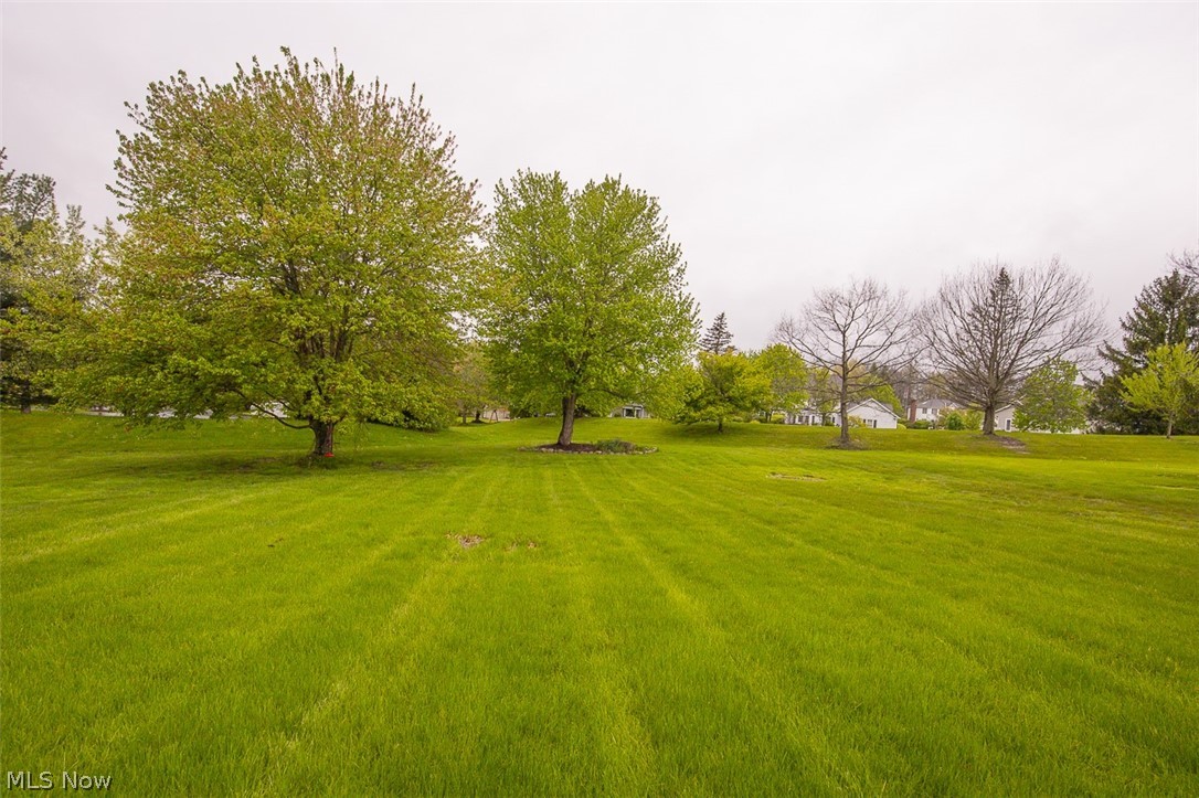 7528 Lakedge Court Hudson OH 44236