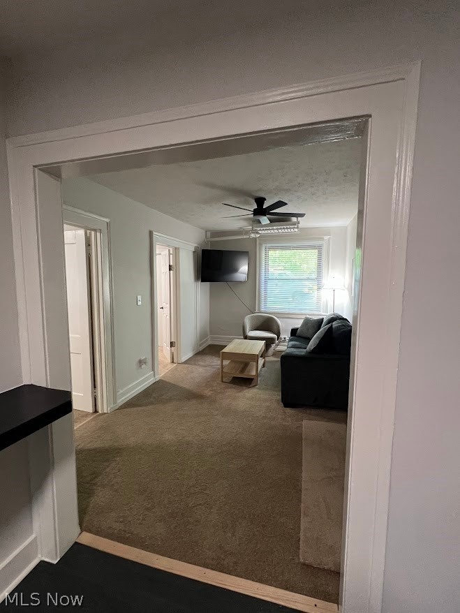 2617 Euclid Heights Boulevard Cleveland Heights OH 44106