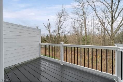 1424 Chateau Place Avon OH 44011