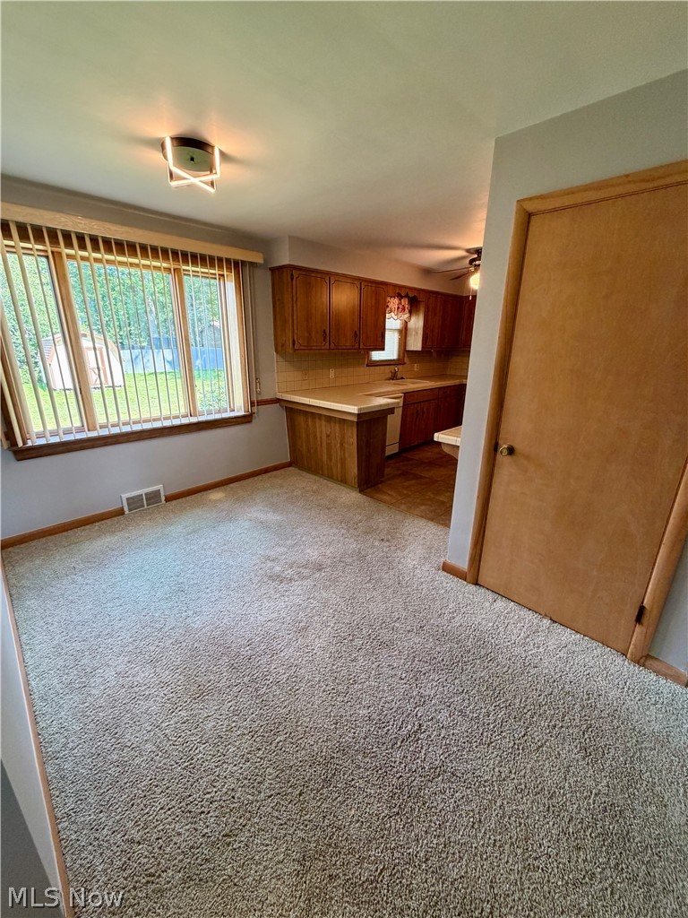 521 Collins Avenue Austintown OH 44515