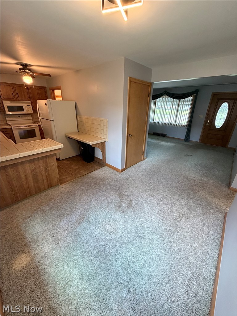 521 Collins Avenue Austintown OH 44515