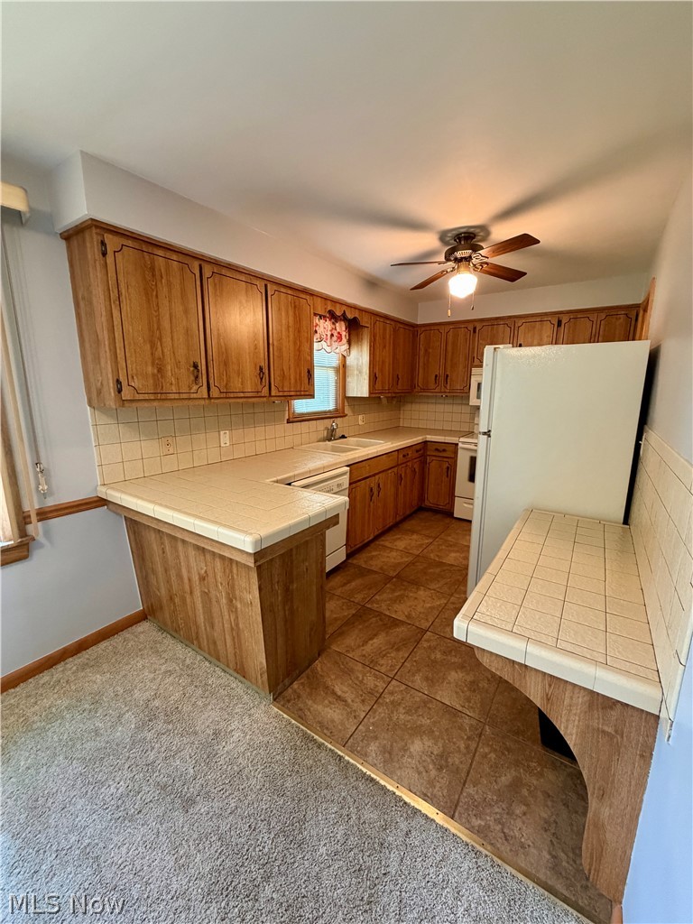 521 Collins Avenue Austintown OH 44515