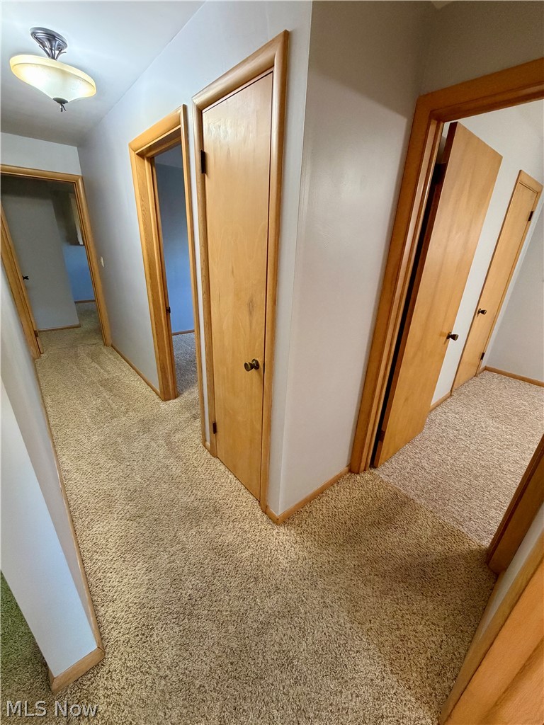 521 Collins Avenue Austintown OH 44515
