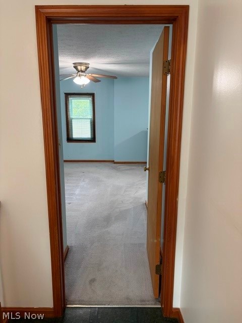 5675 South Park Boulevard Parma OH 44134