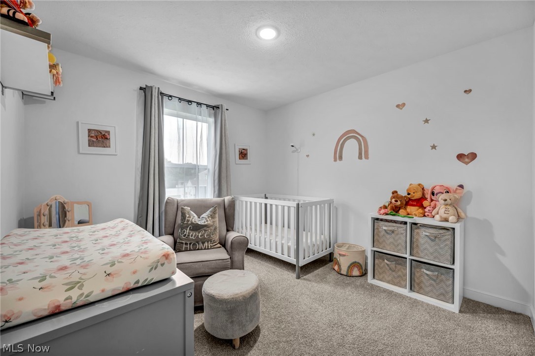 704 Maple Hollow Court Elyria OH 44035
