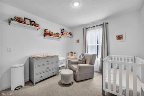 704 Maple Hollow Court Elyria OH 44035