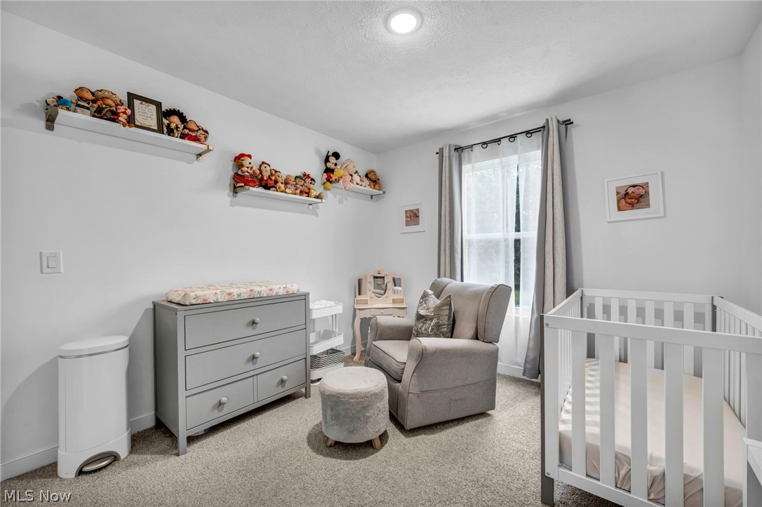 704 Maple Hollow Court Elyria OH 44035