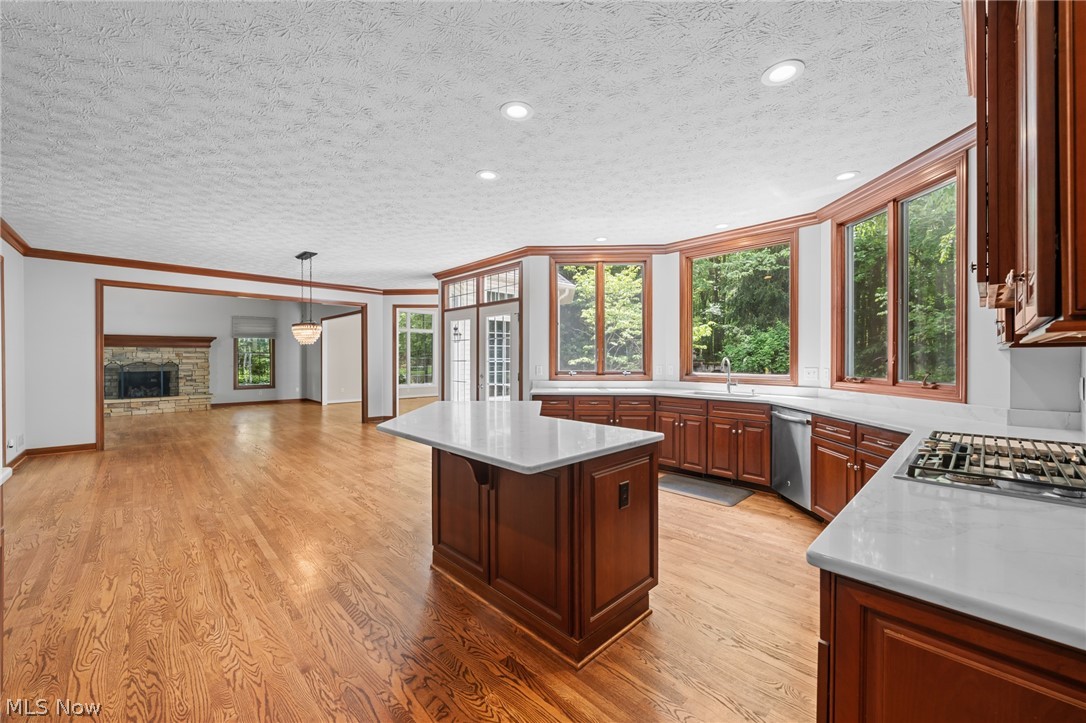 7442 Worlington Drive Solon OH 44139