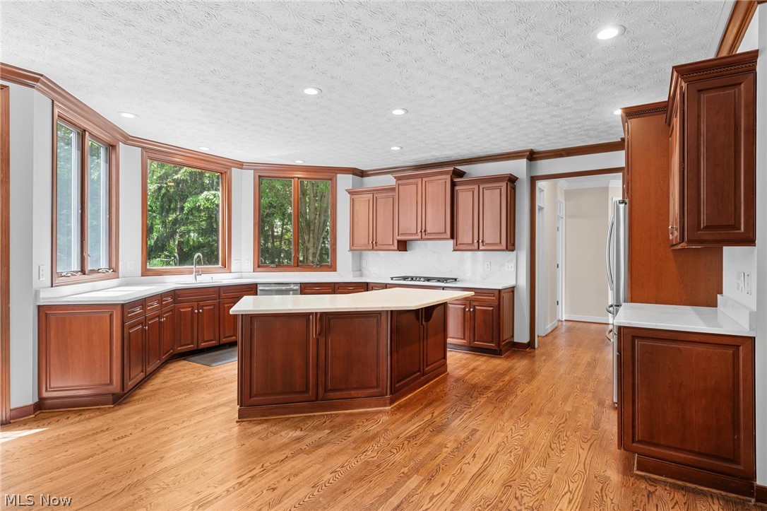 7442 Worlington Drive Solon OH 44139