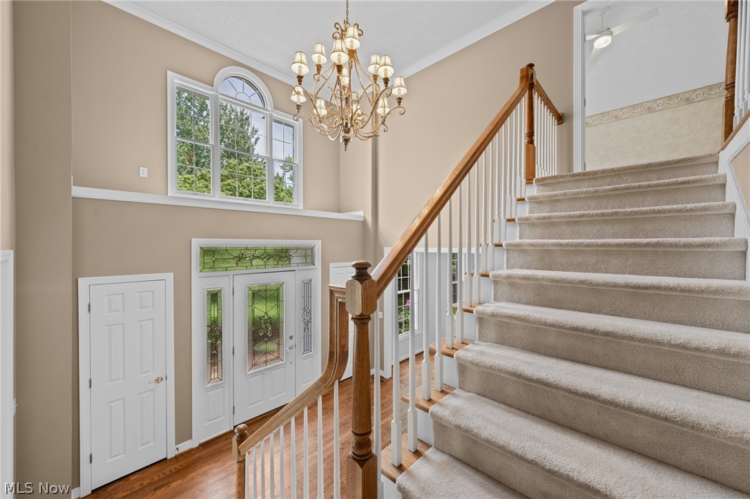 7442 Worlington Drive Solon OH 44139