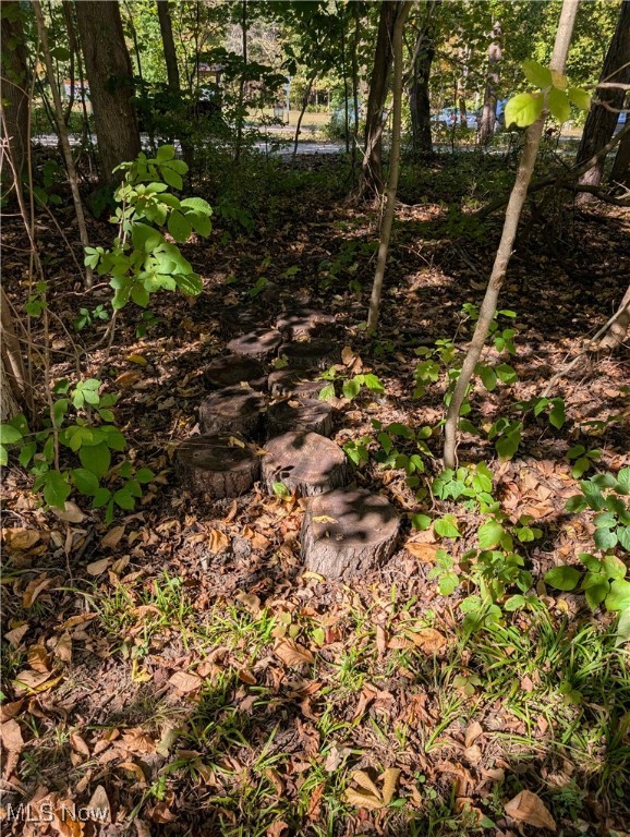 1494 Hilton Drive Akron OH 44313