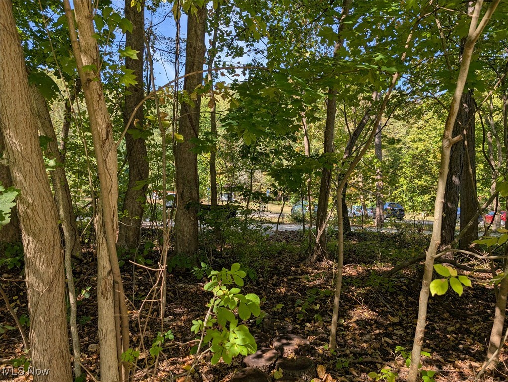 1494 Hilton Drive Akron OH 44313