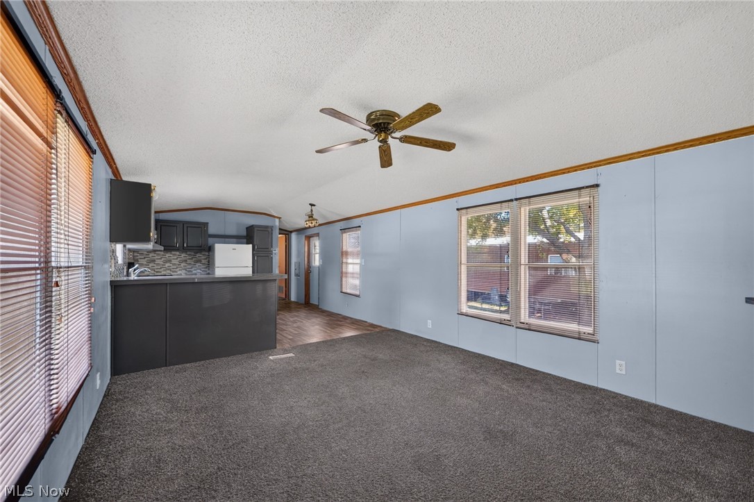 3583 Austin Road Geneva OH 44041