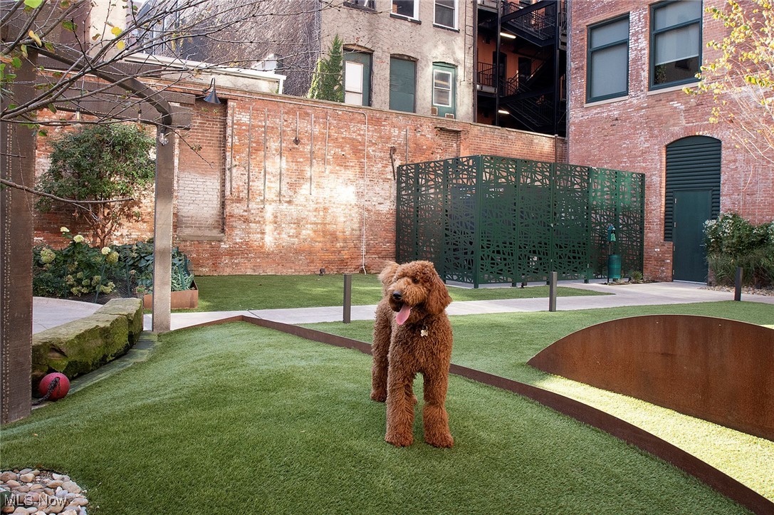 725 Johnson Court Cleveland OH 44113