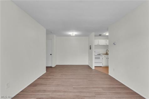 1415 Wyandotte Avenue Lakewood OH 44107