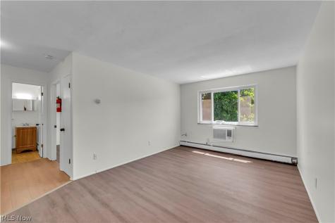 1415 Wyandotte Avenue Lakewood OH 44107