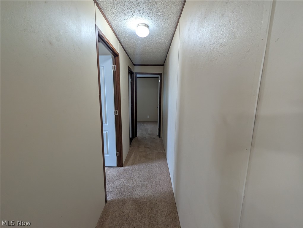240 Cherry Bottom Glen Elyria OH 44035