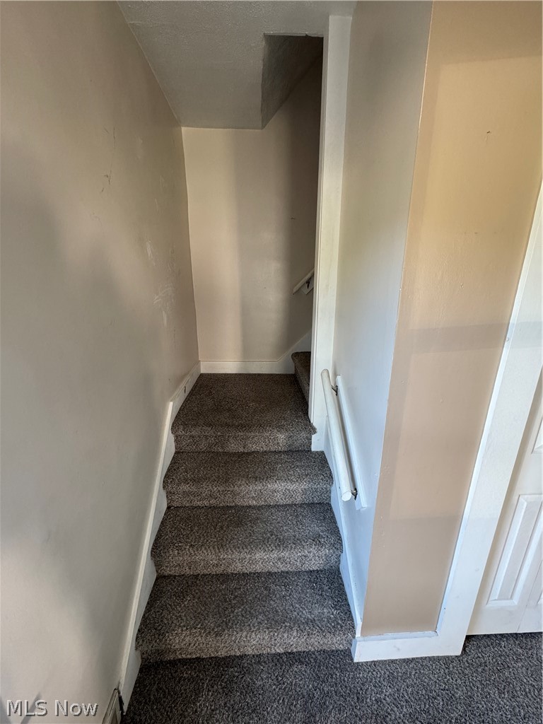 4019 Belmont Avenue Shadyside OH 43947