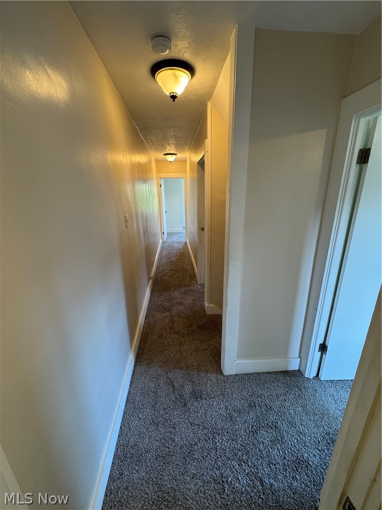 4019 Belmont Avenue Shadyside OH 43947