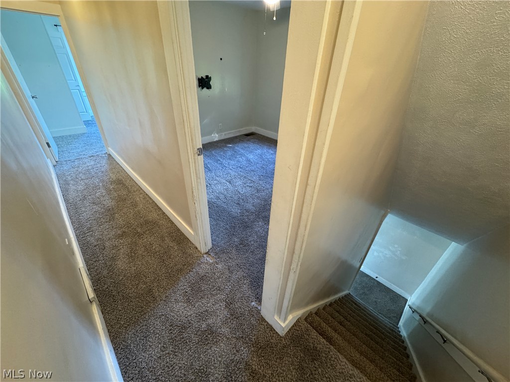 4019 Belmont Avenue Shadyside OH 43947
