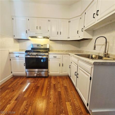 3110 W 111th Street Cleveland OH 44111