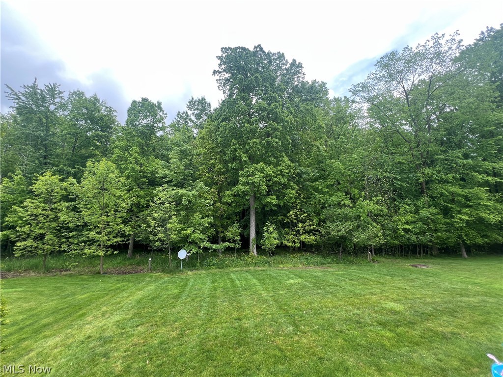 10523 Herrington Drive Aurora OH 44202