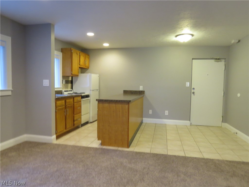 1675 Woodward Avenue Lakewood OH 44107