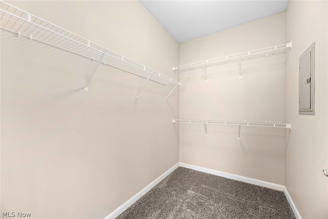 558 Colony Park Tallmadge OH 44278