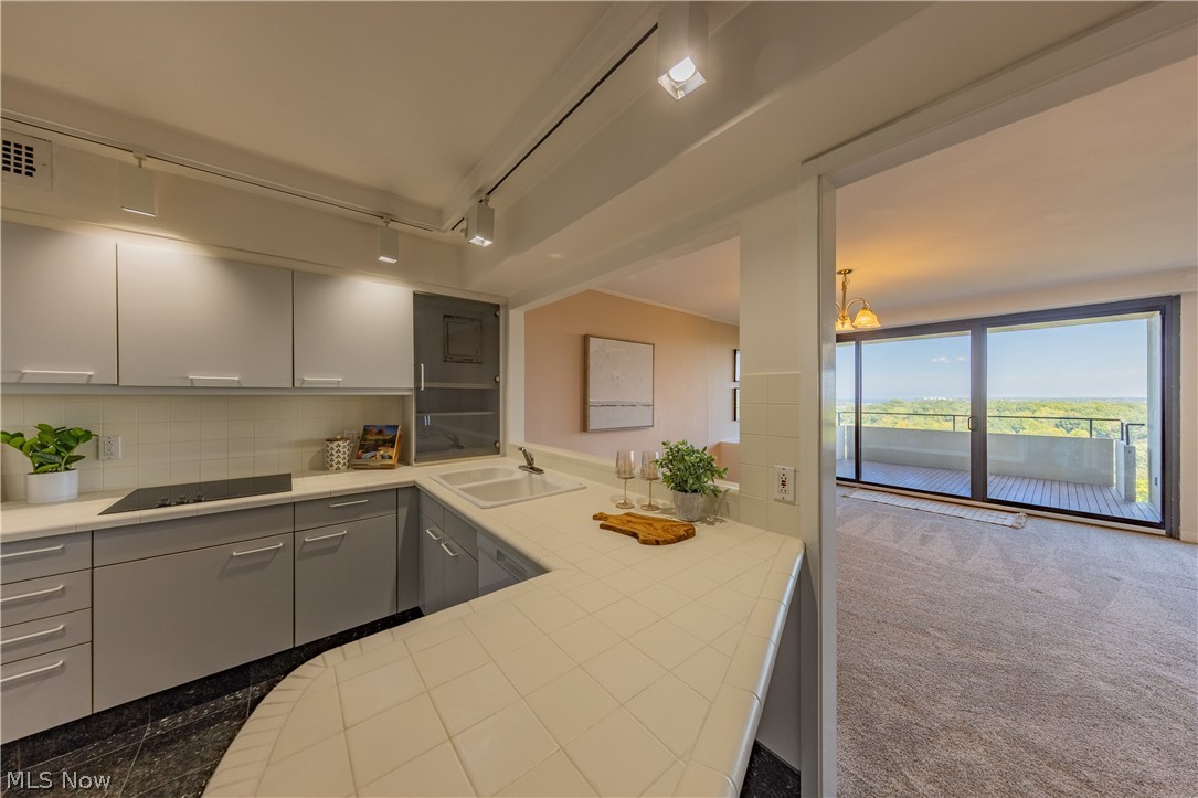 1 Bratenahl Place Bratenahl OH 44108