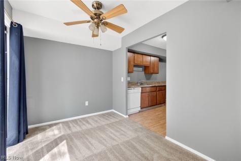 9582 Fernwood Drive Olmsted Falls OH 44138