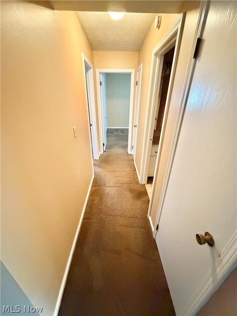 6365 Catawba Drive Canfield OH 44406
