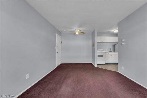 1415 Wyandotte Avenue Lakewood OH 44107