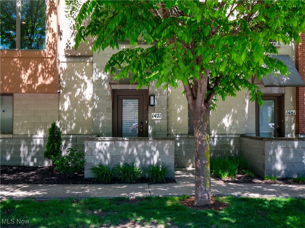 1471 Lindazzo Avenue Cleveland OH 44114