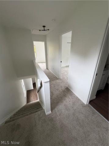 3443 E 104th Street Cleveland OH 44104