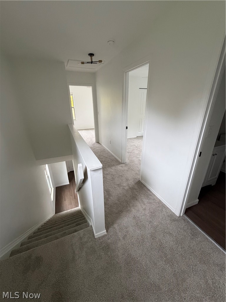 3443 E 104th Street Cleveland OH 44104