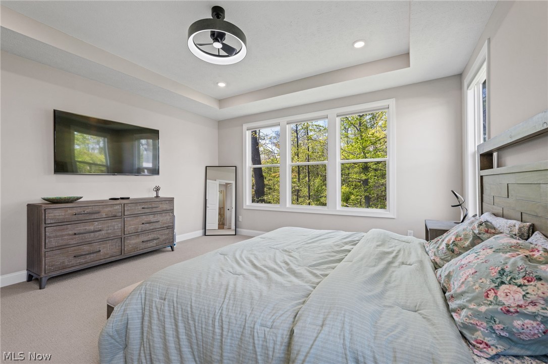 233 Lake Balaton Drive Orange OH 44128