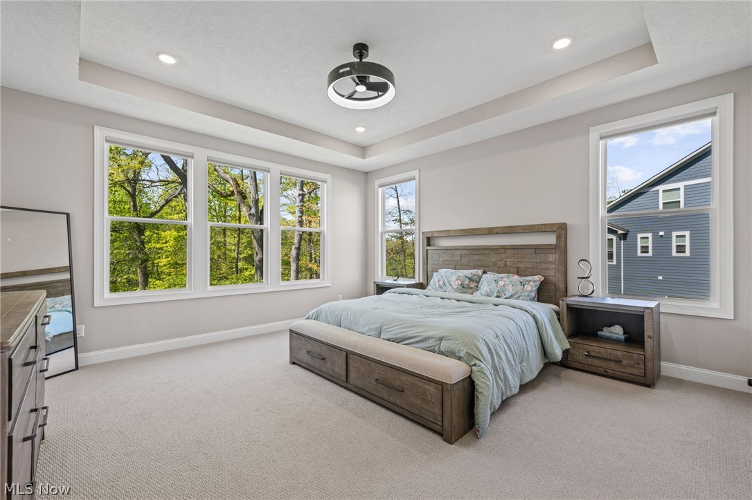 233 Lake Balaton Drive Orange OH 44128
