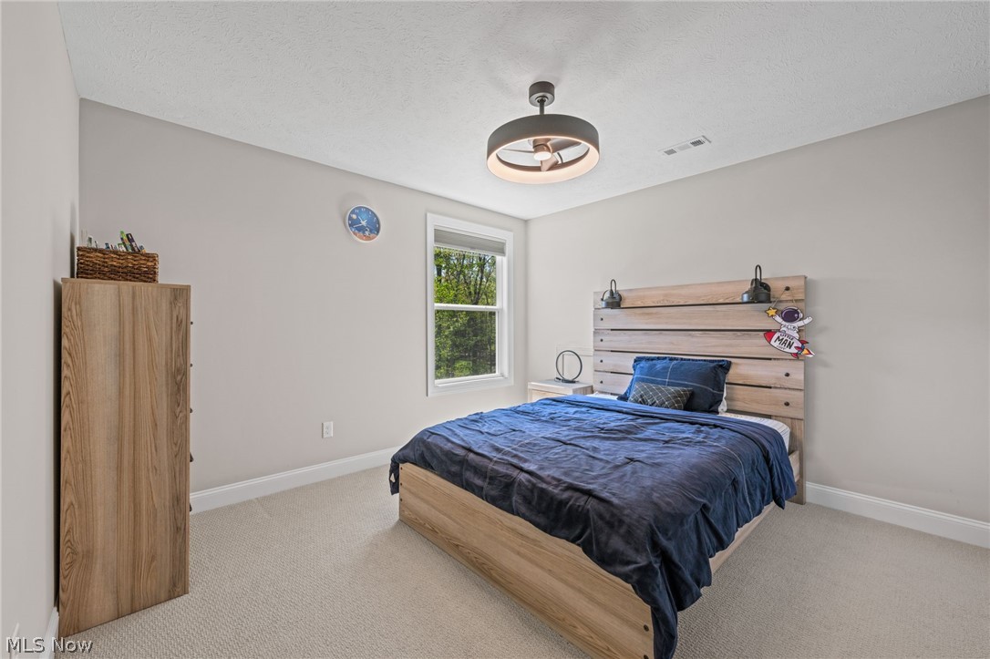 233 Lake Balaton Drive Orange OH 44128