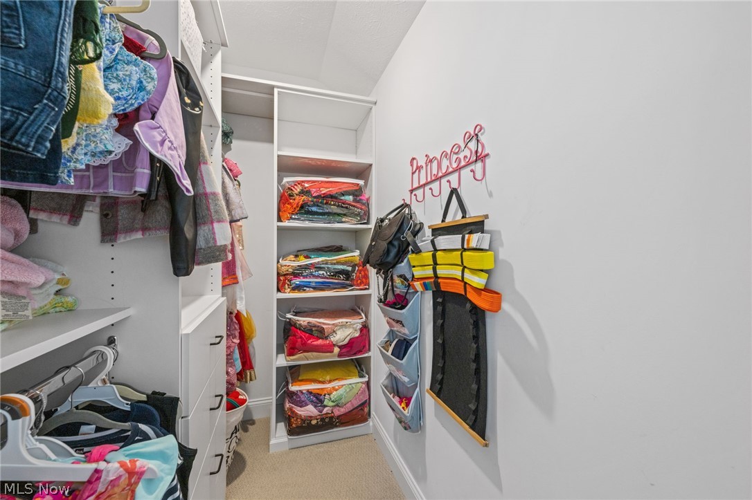 233 Lake Balaton Drive Orange OH 44128